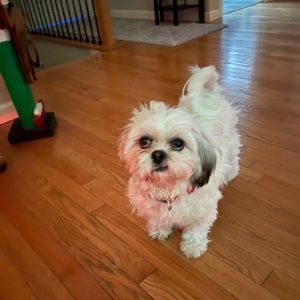 Meet your Posher, Jeff